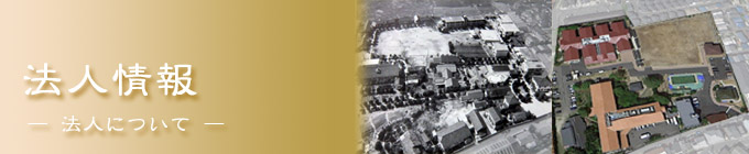 法人情報